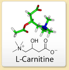 l-carnitina-celulitis-dr-fernandez-blanco